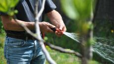 Βρετανία: Εταιρείες ύδρευσης απαγορεύουν την χρήση λάστιχου ποτίσματος λόγω ανομβρίας