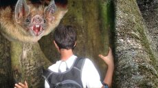 Βόλος: Στο νοσοκομείο ποδηλάτης που συγκρούστηκε με… νυχτερίδα!