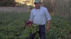 Ο μηχανικός που έγινε αγρότης, η άδεια οικοτεχνίας, το γλυκό κάππαρη και η μαρμελάδα πιπεριά!