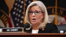 Λιζ Τσέινι: Θα κάνω ό,τι μπορώ για να μην εκλεγούν αρνητές των εκλογών