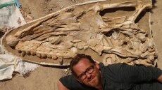 Έρευνα:  Ανακαλύφθηκε απολίθωμα Θαλασσοτιτάνα - Γιγάντιο θαλάσσιο τέρας που ζούσε πριν 66 εκατ. χρόνια