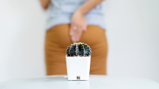 Αιμορροϊδοπάθεια: Τι προβλέπει το συμβόλαιο υγείας για τη διάγνωση και τη θεραπεία