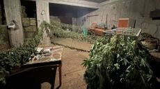 Ζωνιανά: Προθεσμία να απολογηθούν πήραν οι 5 κατηγορούμενοι για τα δενδρύλλια κάνναβης στο υπόγειο σπιτιού