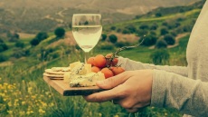 Πώς παράγεται η ρετσίνα;