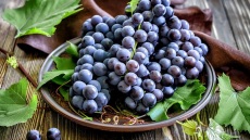 Πώς συντηρούμε τα σταφύλια για μεγαλύτερο χρονικό διάστημα;