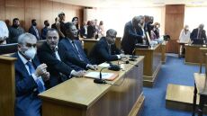 Ειδικό Δικαστήριο: Αποβλήθηκε από πολιτική αγωγή η Γεωργία Τσατάνη