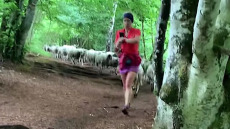 Γαλλία: Γυναίκα πεζοπόρος «σαγήνευσε» ένα κοπάδι πρόβατα που την ακολούθησαν τυφλά στο μονοπάτι της 