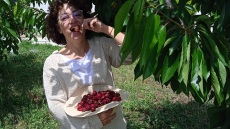 Η Αύρα Πανουσοπούλου κλείνει στα βάζα της τα πιο "YIAM" προϊόντα της ελληνικής γης