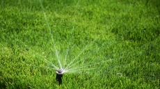 Τρίκαλα: Ξήλωσαν εκατοντάδες μπεκ ποτίσματος