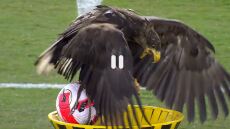 ΑΕΚ: Η πρώτη... πτήση του Οδυσσέα στην OPAP Arena - Δείτε βίντεο