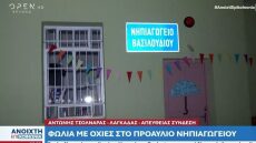 Φωλιά με οχιές μέσα σε νηπιαγωγείο στον Λαγκαδά