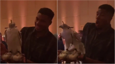 Αντετοκούνμπο: Το γεράκι που τρόμαξε τον Γιάννη - Δείτε βίντεο