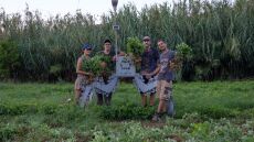 Στέγη Ιδρύματος Ωνάσης: Διοργανώνει κινηματογραφικό φεστιβάλ στα χωράφια της Τήνου