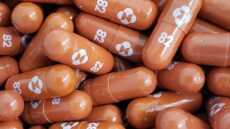 Kορωνοϊός: Πόσο αποτελεσματικό ήταν το χάπι της Merck κατά της Omicron