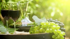 Τα κρασιά της Ηπείρου: Terroir, χαρακτηριστικά, ποικιλίες