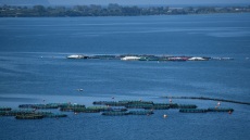 Χίος: Νεκρός βρέθηκε 52χρονος σε ιχθυοκαλλιέργεια