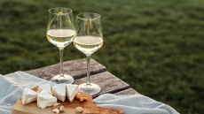 14 Μοσχοφίλερα που κοστίζουν κάτω από €14