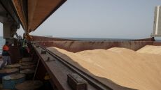 ΟΗΕ: «Συγκρατημένα αισιόδοξος» για την παράταση της συμφωνίας που επιτρέπει εξαγωγές δημητριακών μέσω Μαύρης Θάλασσας