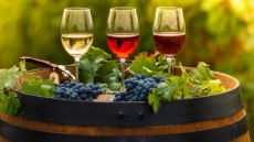 15 ξινόμαυρα που κοστίζουν κάτω από €15