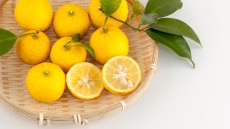 Τι είναι τελικά το γιούζου (yuzu) και πώς το χρησιμοποιούμε; 