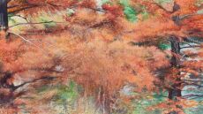 Μητροπολιτικό Πάρκο «Αντώνης Τρίτσης»: Φιλοξενεί έκθεση με ζωγραφικά έργα σύγχρονων δημιουργών