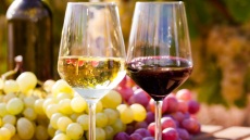 Λευκό ή κόκκινο κρασί; Τι προτιμούν οι αναγνώστες του Olivemagazine.gr;