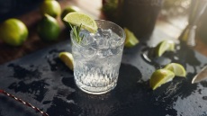 Τα πάντα γύρω από το τζιν