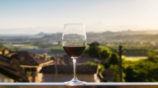 Ελληνικές ερυθρές ποικιλίες: Τα πάντα για τη μαυροδάφνη