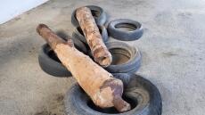 Κύπρος: Πήγαν να ψάξουν για ναρκωτικά... και βρέθηκαν μπροστά σε δυο κανόνια του 18ου αιώνα