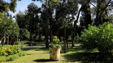 Προεδρικό Μέγαρο: Αφιερωμένος στα παιδιά ο κήπος την Κυριακή