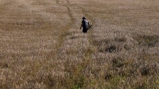 Η Ρωσία προχώρησε στη συγκομιδή ουκρανικών σιτηρών αξίας 1 δισ. δολαρίων, λέει η NASA