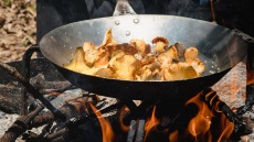 Nomade et sauvage: γαστρονομικές εμπειρίες στην ύπαιθρο