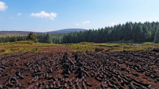 Ενεργειακή κρίση: Αποψιλώνουν δάση και λιβάδια για να ζεσταθούν στη Δυτική Ευρώπη