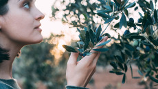 Ενδομητρίωση: Η αντιμικροβιακή ουσία που την αντιμετωπίζει – Τα φύλλα που την περιέχουν