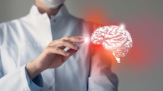 Το προβιοτικό που προστατεύει τα νεύρα και αποτρέπει την εκφύλιση του εγκεφάλου