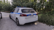 Φέρες: Αλλοδαποί ξυλοκόπησαν άγρια ηλικιωμένο αγρότη - Φοβήθηκε για τη ζωή του