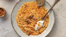 Πικάντικος τραχανάς-ριζότο µε πελτέ και πρόβειο γιαούρτι