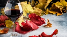 Ο αισθησιασμός του Pinot Noir σε 5 ελληνικές ετικέτες