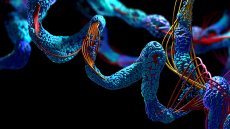 Σύστημα τεχνητής νοημοσύνης δημιουργεί από το μηδέν νέες πρωτεΐνες με αντιμικροβιακή δράση