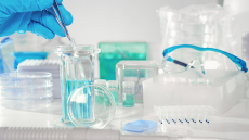 Καρκίνος: Τα έντομα που μπορούν να τον ανιχνεύσουν – Καλύτερα από τους σκύλους