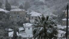 Κακοκαιρία «Μπάρμπαρα»: Στα λευκά η Χαλκιδική, 30 κλήσεις για κοπές δέντρων στην Κ. Μακεδονία