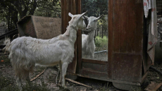 Άνοιξε η έκθεση «Down to Earth» στο Μουσείο Άλεξ Μυλωνά