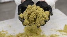 Ανακαλύψαμε ένα νέο εργαστήριο με υπέροχα λουκούμια σε πάνω από 35 γεύσεις