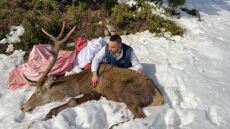 Ιπποκράτειος Πολιτεία: Τραυματισμένο ελάφι βρήκε καταφύγιο σε αυλή σπιτιού - Δείτε φωτογραφίες