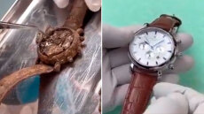 Δείτε βίντεο: Πώς γίνεται η ανακατασκευή ενός παλιού ρολογιού - Το πριν και το μετά