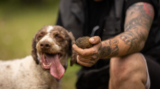  Μουσείο Μανιταριών: Κυνήγι τρούφας στα Μετέωρα το τριήμερο της αποκριάς