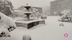 Μαγιόρκα: Εκχιονιστικά ανοίγουν τους δρόμους και απεγκλωβίζουν οδηγούς (βίντεο)