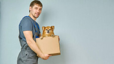 Πιο γόνιμοι οι άνδρες που κάνουν αυτά τα επαγγέλματα