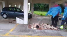 Ωρωπός: Ούτε βασανίσαμε ούτε προκαλέσαμε σωματική βλάβη στη γυναίκα, λέει ο νοσηλευτής