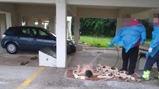 Ωρωπός: Γιατί ο νοσηλευτής του ΕΣΥ εργαζόταν στο ιδιωτικό ασθενοφόρο